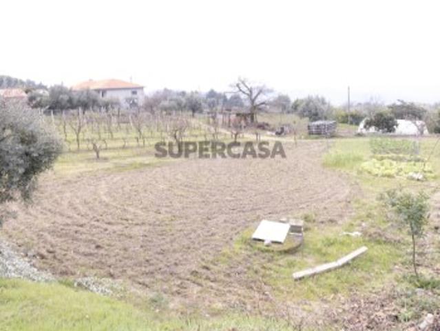 Terreno venda em Teivas, Viseu
