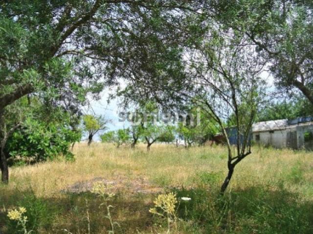 Terreno venda em Faro