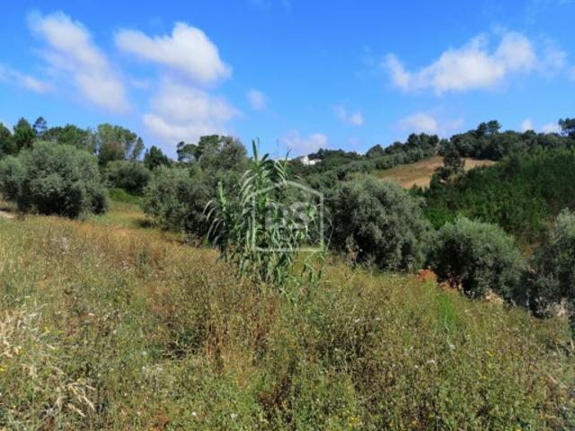 Terreno venda em Figueira do Outeiro, Leiria