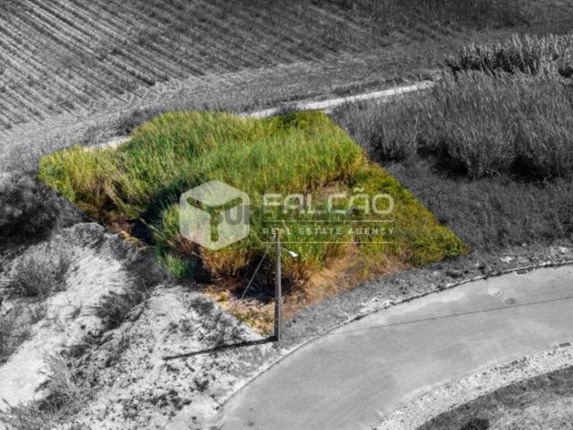 Terreno venda em Santarém