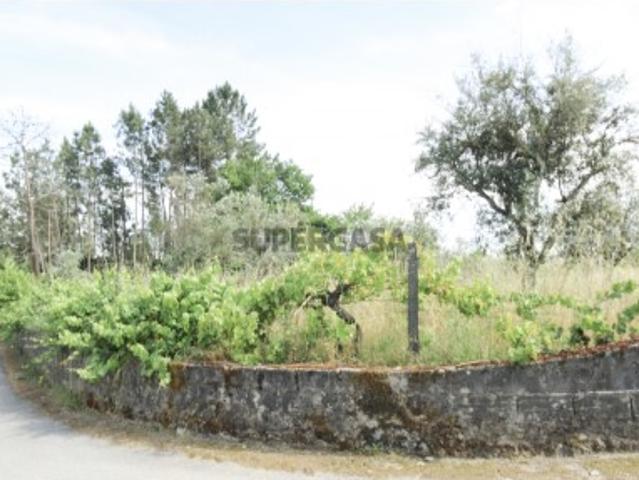 Terreno venda em Viseu