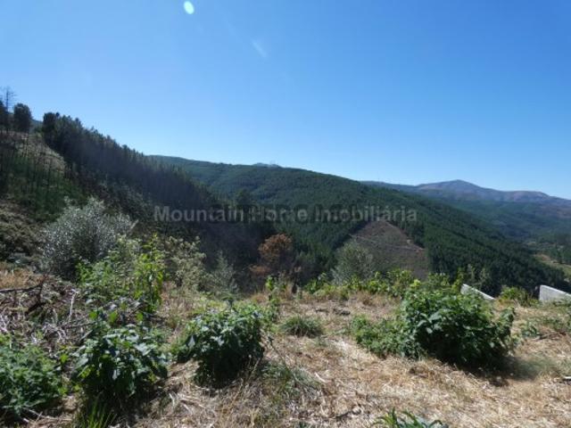 Terreno venda em Guarda, Seia