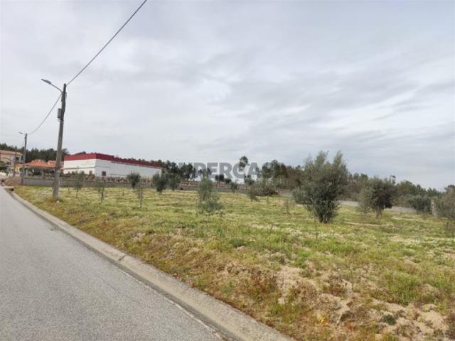 Terreno venda em Penalva Do Castelo, Viseu