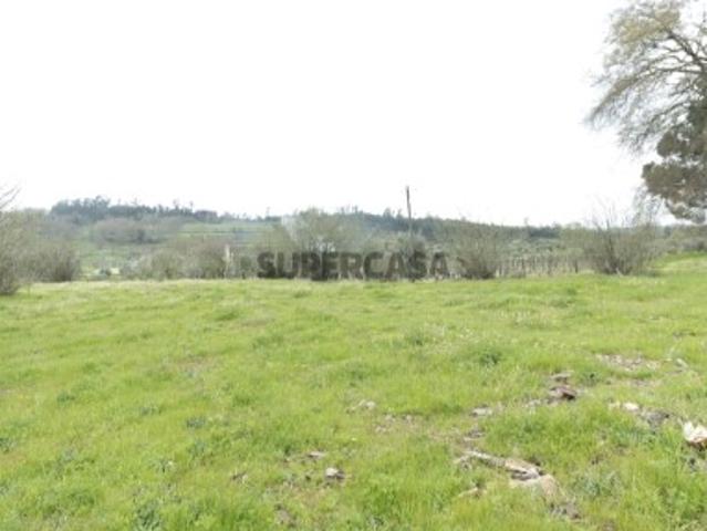 Terreno venda em Viseu
