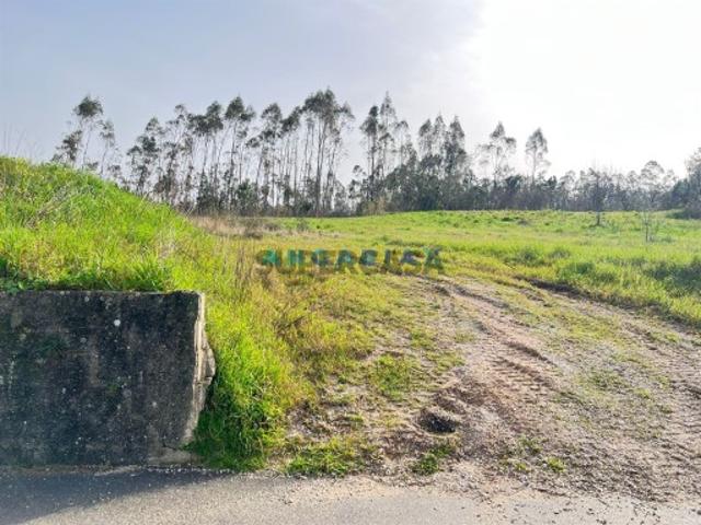 Terreno venda em Leiria
