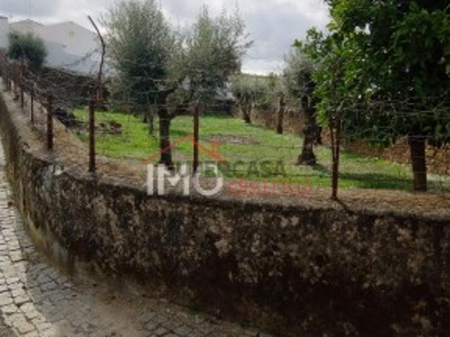 Terreno venda em Monforte, Portalegre