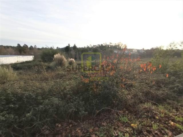 Terreno venda em Águeda, Aveiro