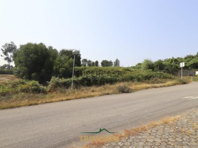 Terreno venda em Faria de Baixo, Oliveira De Azeméis