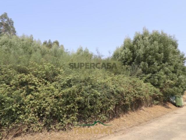 Terreno venda em Faria de Baixo, Oliveira De Azeméis
