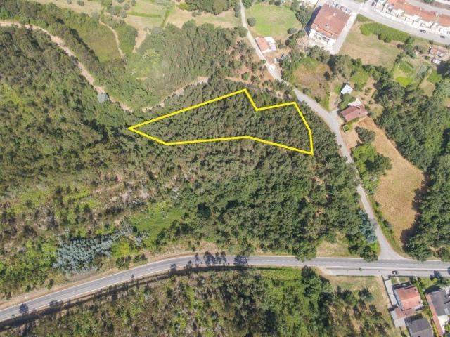 Terreno venda em Poiares (Santo André), Vila Nova De Poiares