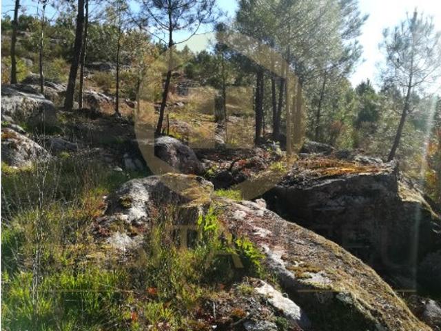 Terreno venda em Moure de Carvalhal, Viseu
