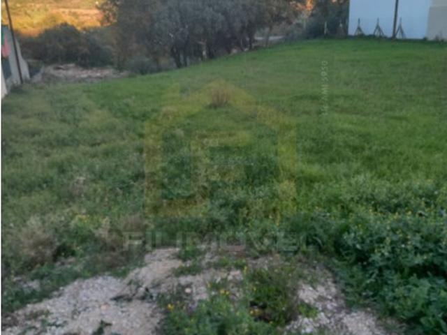 Terreno venda em Pairia, Ourém