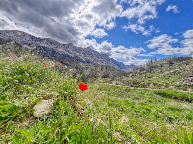 Terreno en venta en la Marina Baixa, Valencia