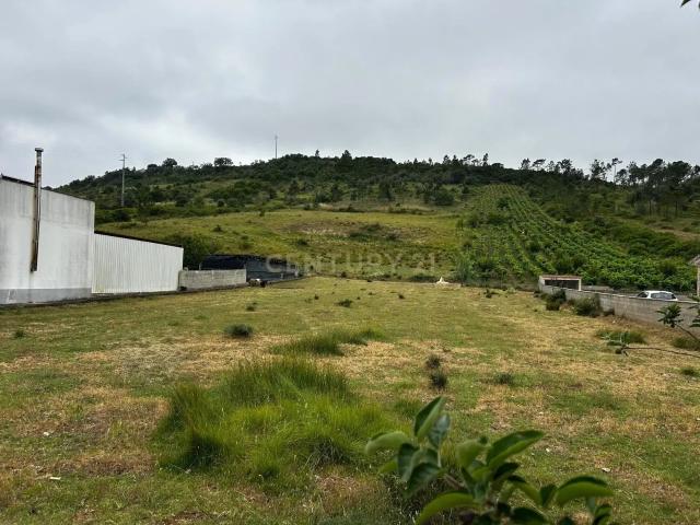 Terreno venda em Leiria