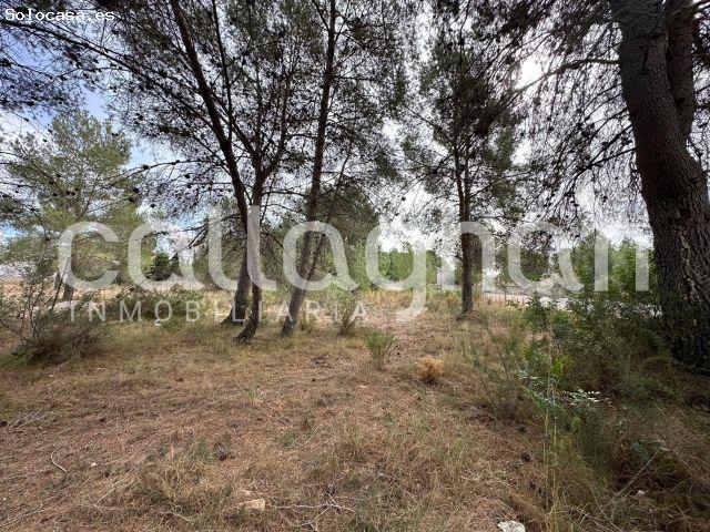 Local Comercial en venta en Colinas de San Antonio, el Camp de Túria