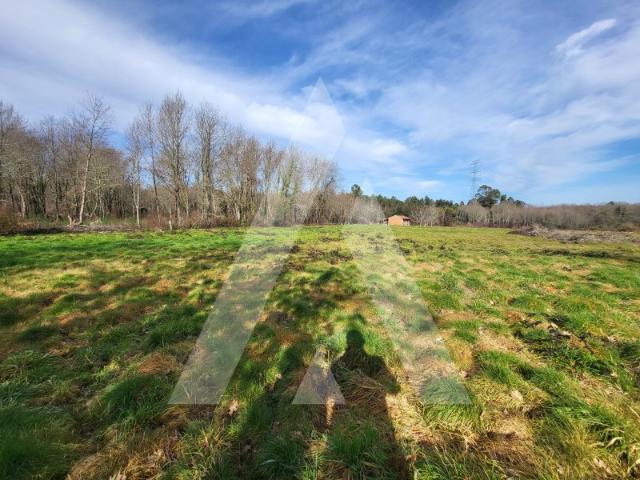Terreno venda em Viseu