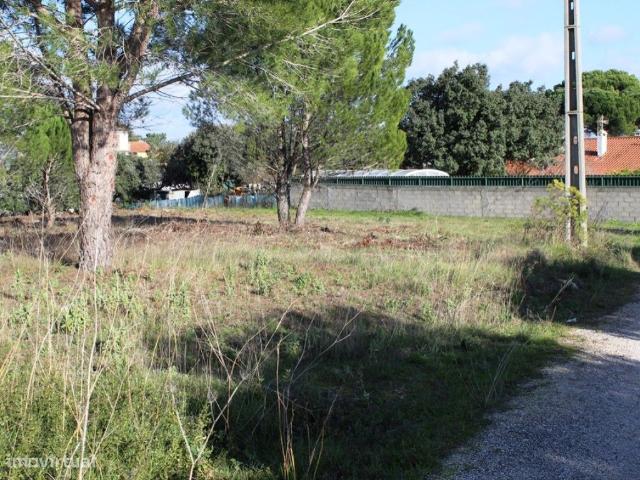 Terreno venda em Carregueiros, Carregueiros