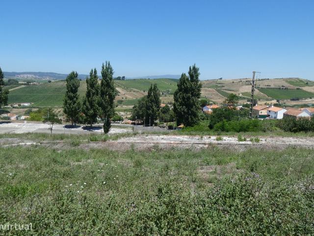 Terreno alugar em Lisboa, Sarge
