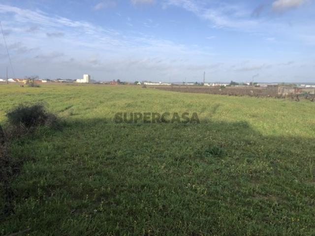Terreno venda em Alpiarça, Santarém