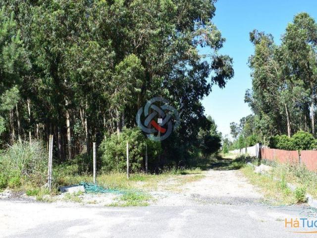 Terreno venda em Santa Maria Da Feira, Aveiro