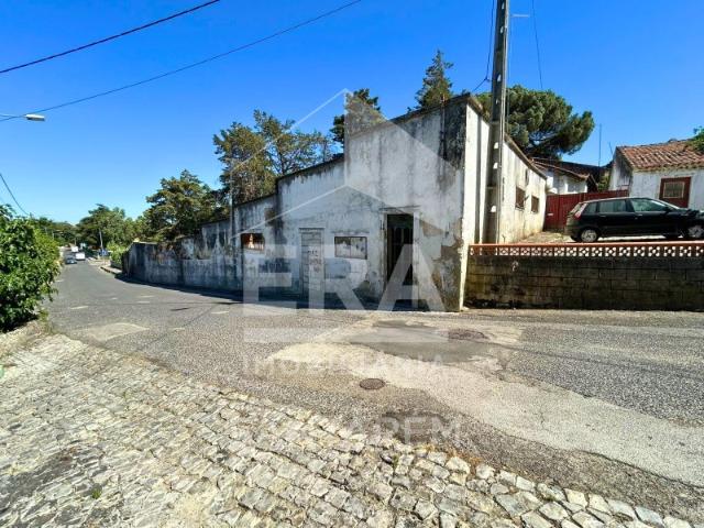 Terreno venda em Cartaxo, Santarém