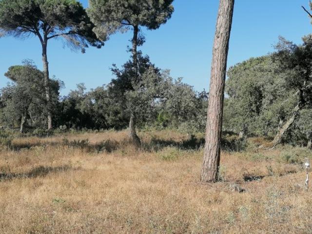 Terreno venda em Sesimbra (Castelo), Sesimbra