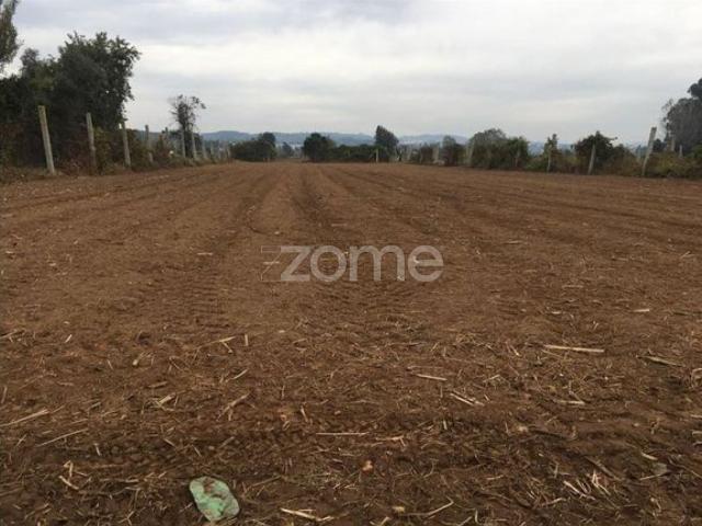 Terreno venda em Bougado (São Martinho e Santiago), Trofa