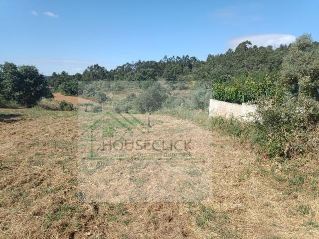 Terreno venda em Castelo Branco, Aldeia Nova Do Cabo