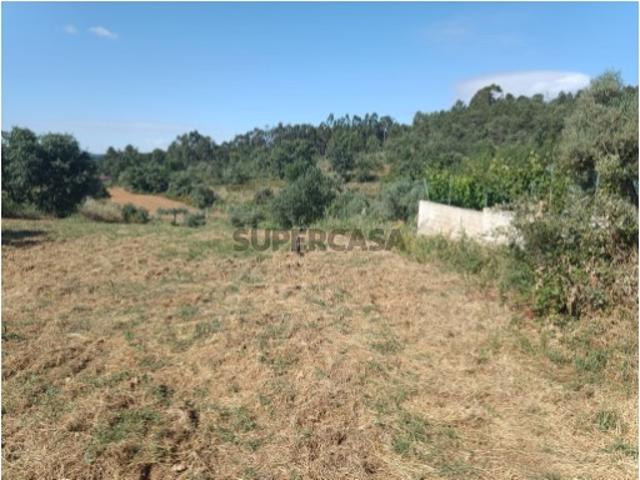 Terreno venda em Castelo Branco, Aldeia Nova Do Cabo