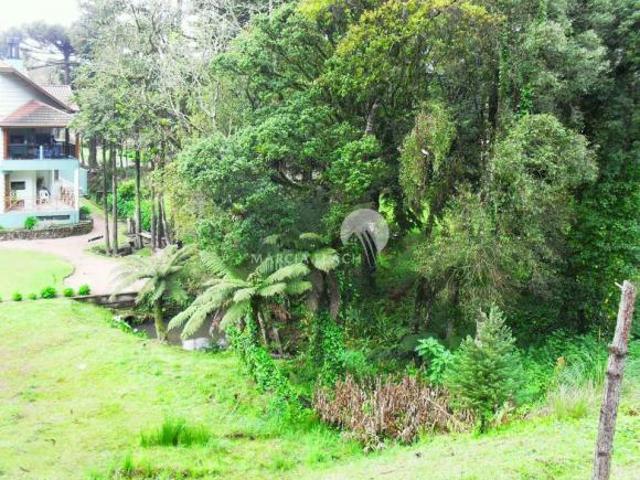 Terreno venda em Gramado