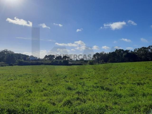 Terreno venda em Mafra, Lisboa