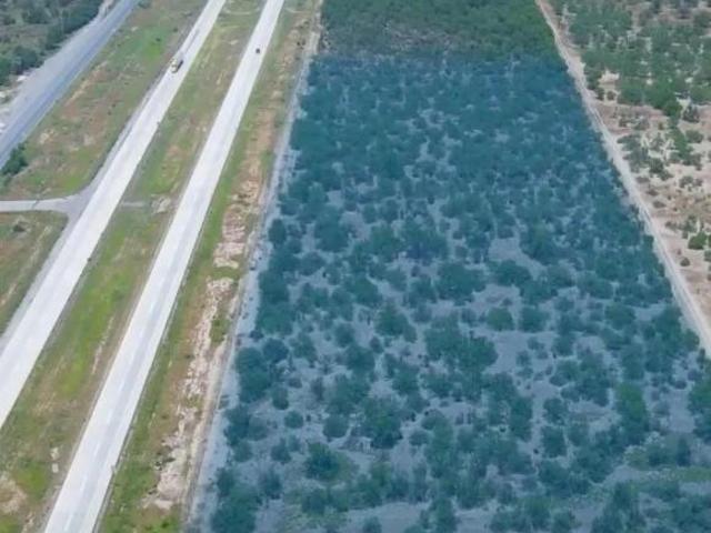 Terreno en venta en Anáhuac, Nuevo León