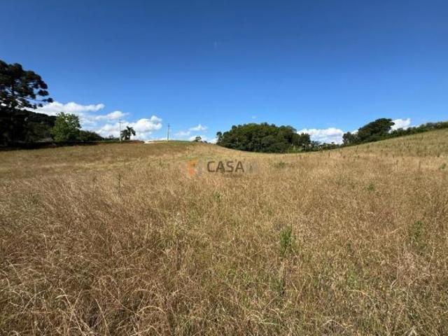 Terreno venda em Região Geográfica Imediata de Curitiba, Região Metropolitana de Curitiba
