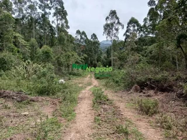 Fazenda venda em Região Imediata de Cruzeiro, Região Metropolitana do Vale do Paraíba e Litoral Norte