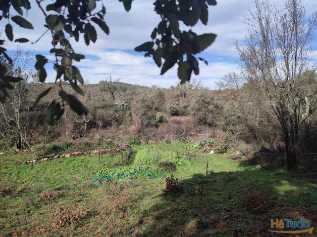 Terreno venda em Castelo Branco, Idanha-a-nova