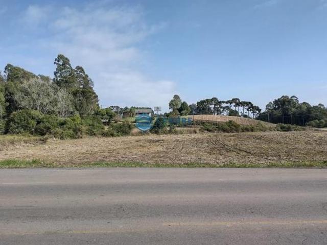 Terreno venda em Região Geográfica Imediata de Caxias do Sul, Farroupilha