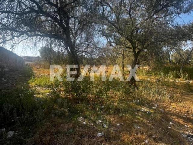 TERRENO PARA INVERSION