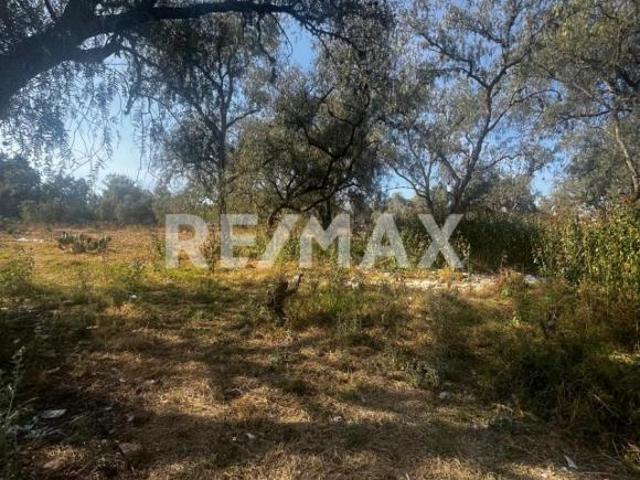 TERRENO PARA INVERSION