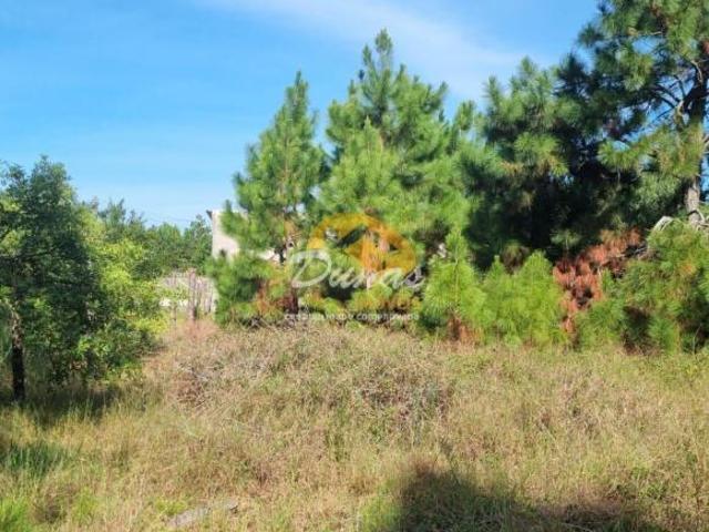 Terreno venda em Região Geográfica Imediata de Tramandaí - Osório, Aglomeração Urbana do Litoral Norte