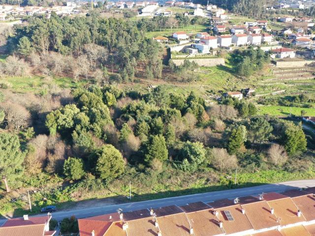 Terreno venda em Várzea, Porto