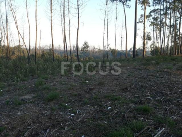 Terreno venda em Aveiro