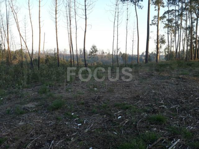 Terreno venda em Aveiro