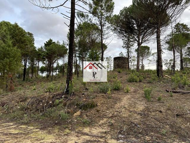 Terreno venda em Assafarge, Coimbra