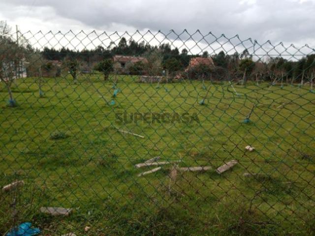 Terreno venda em Águeda