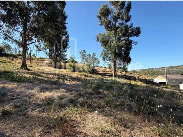 Terreno venda em Viseu