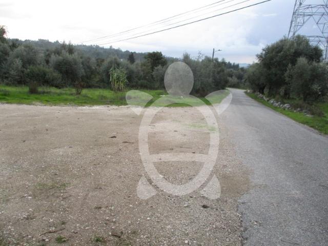 Terreno venda em Condeixa-a-nova, Coimbra