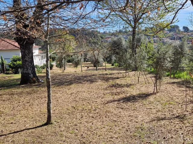 Terreno venda em Viseu
