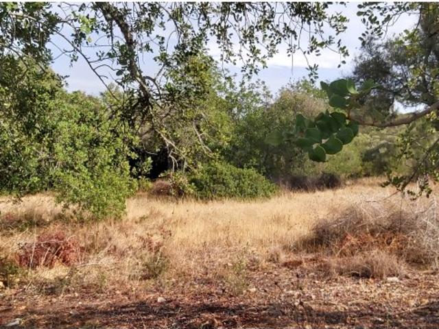 Terreno venda em Albufeira e Olhos de Água, Albufeira