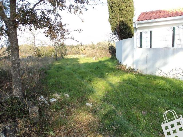 Terreno venda em Alcobaça, Leiria