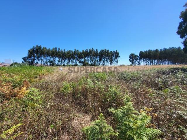 Terreno venda em Ílhavo, Aveiro